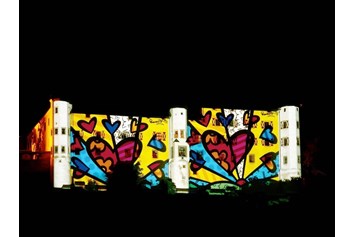 Hochzeit: Lightshow auf die Außenfassade des Schlosses von Künstler Romero Britto  - Schloss Tratzberg