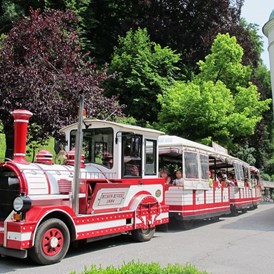Hochzeit: Bummelzug "Tratzberg Express", welcher Ihre Gäste die Waldstrasse rauf zum Schloss transportiert - Schloss Tratzberg
