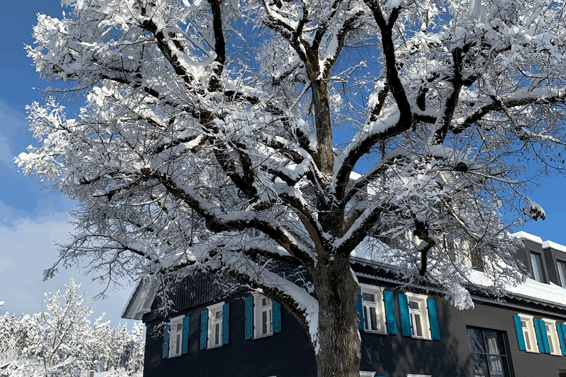 Hochzeitslocation: Säge Winter - die Säge