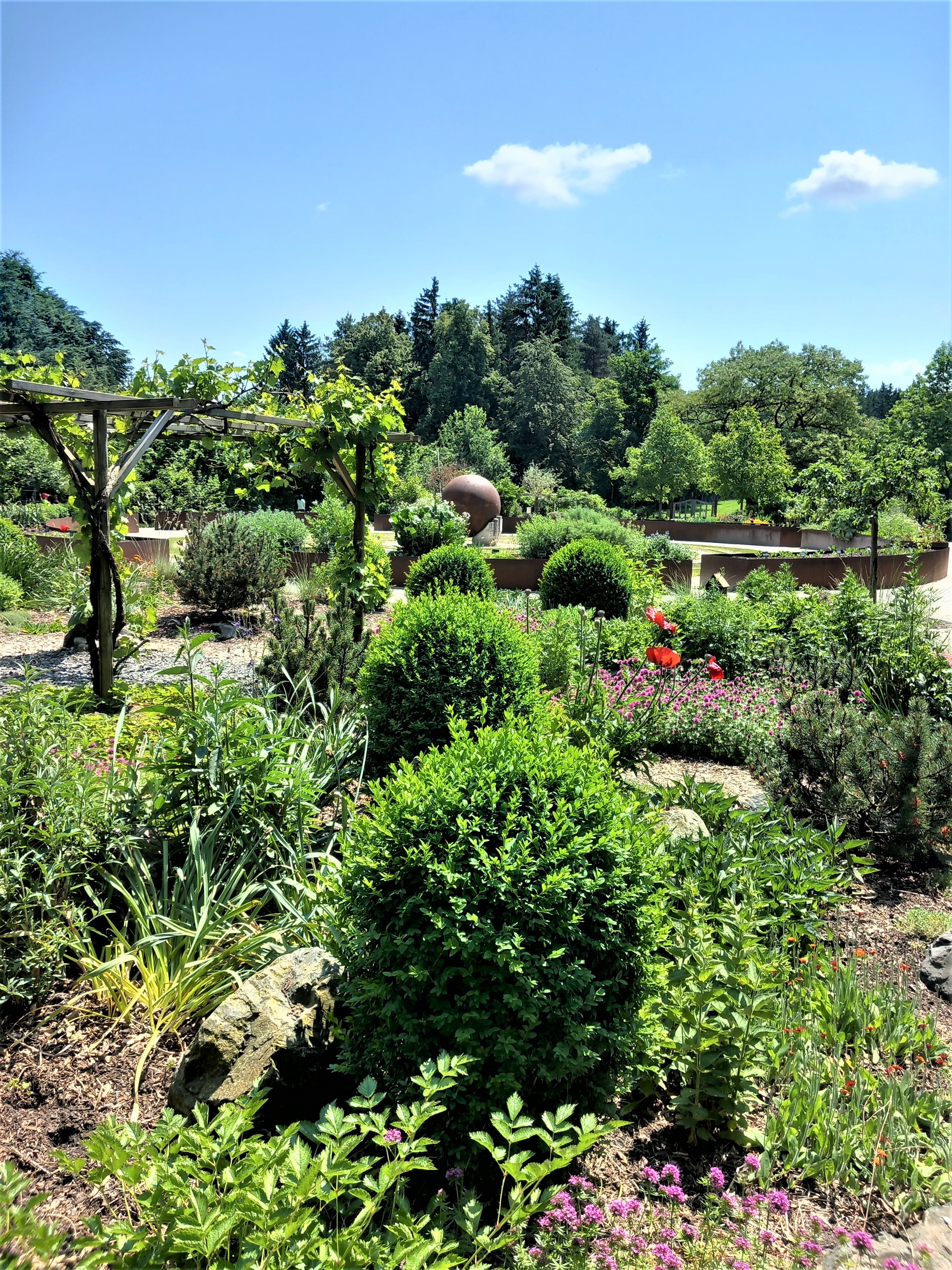Hochzeit: Sonnengesangsweg "Mutter Erde" - Kloster Bonlanden