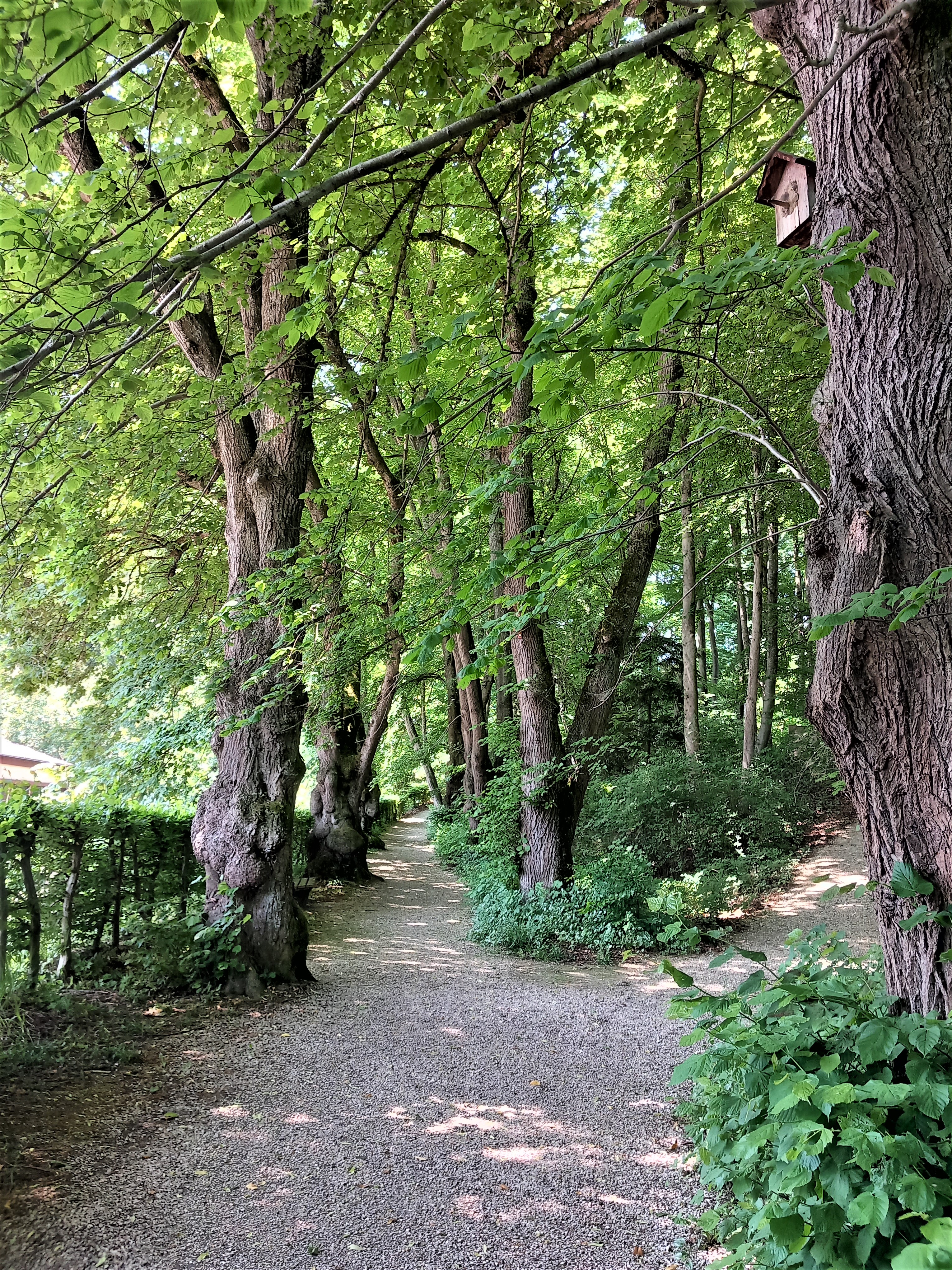 Hochzeit: Außengelände - Kloster Bonlanden