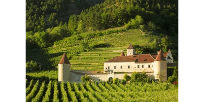 Hochzeit - Nals - Schloss Goldrain