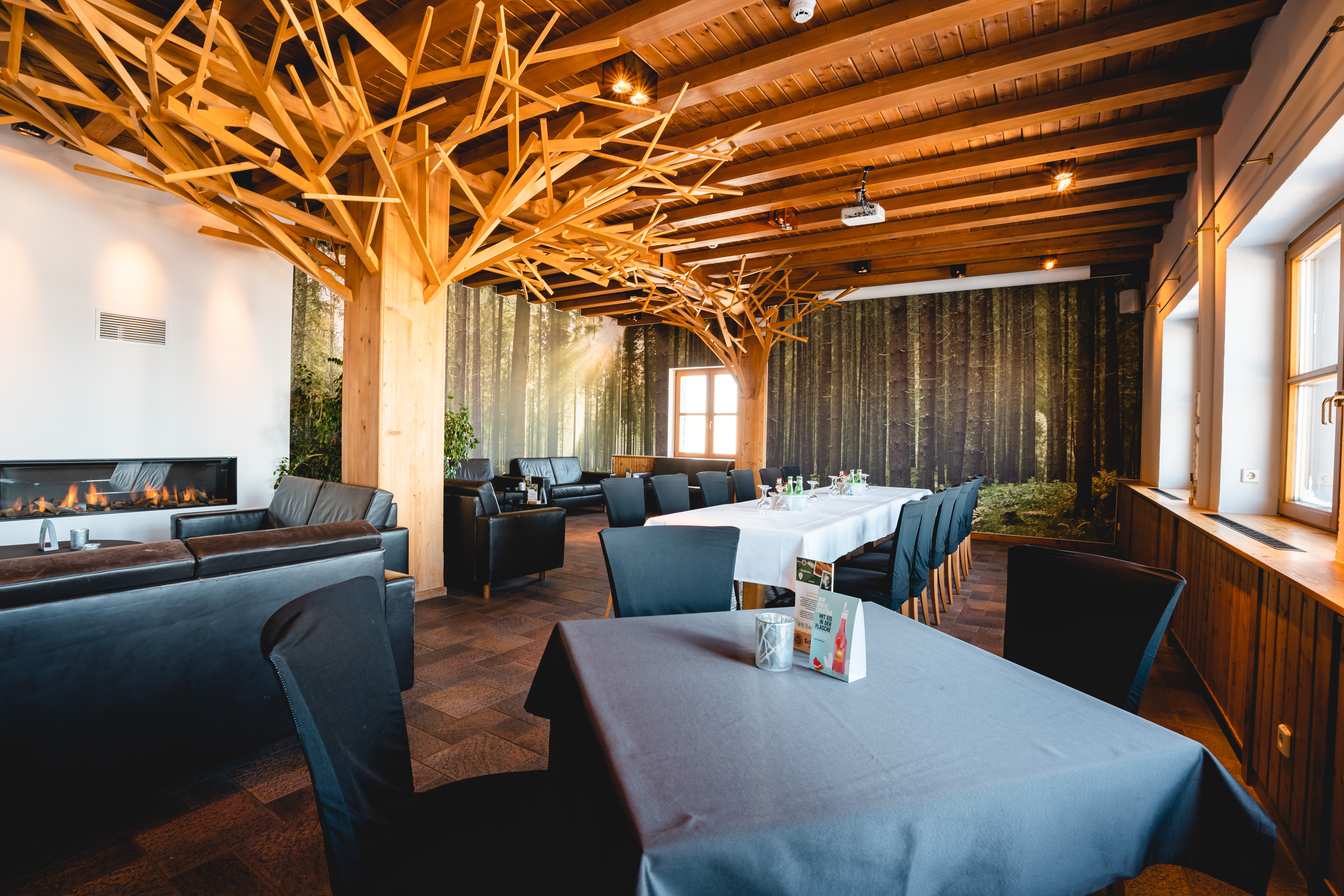 Hotel Fichtelberghaus Informations sur les salles de bal Salle avec cheminée