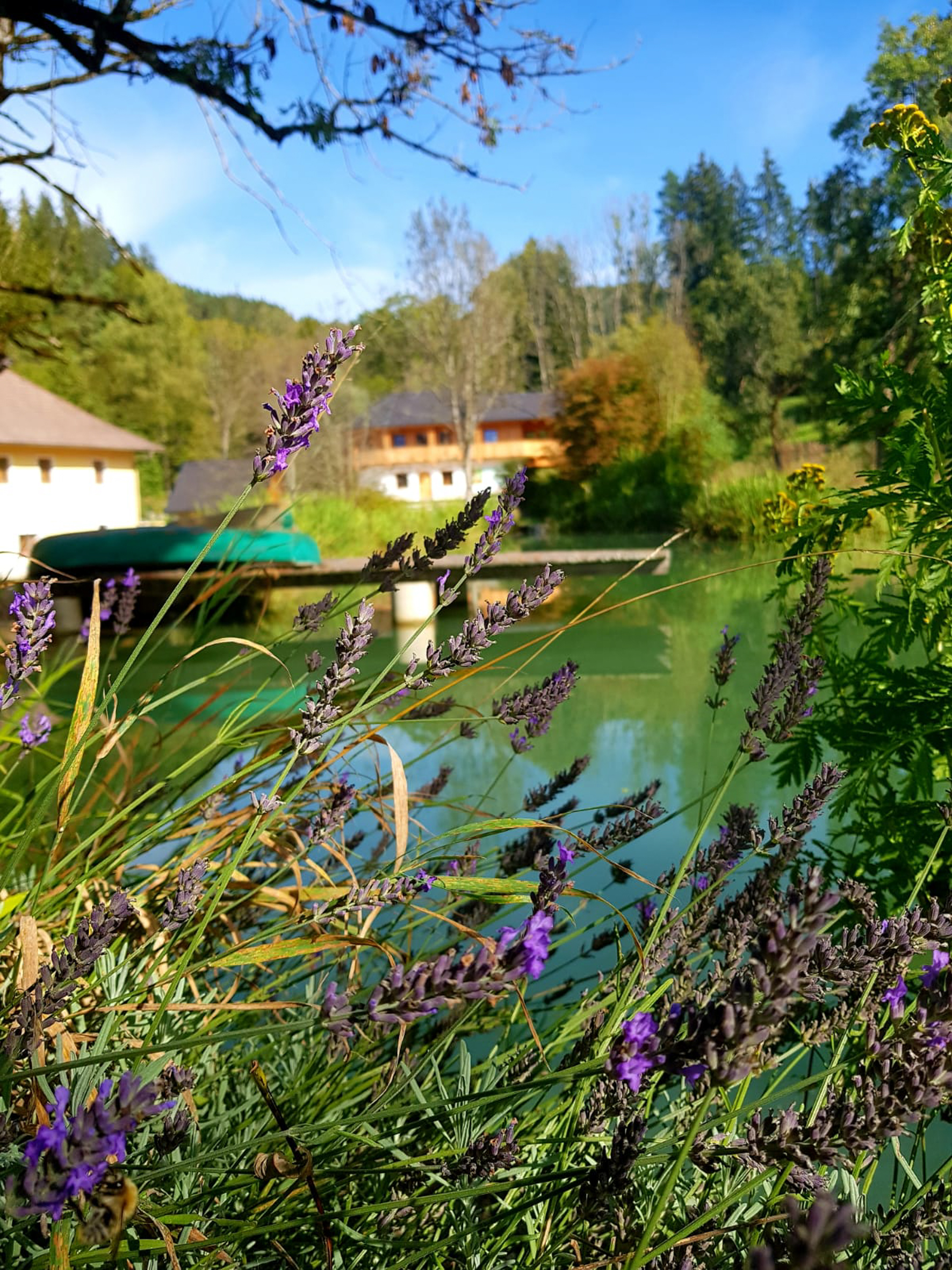 Hochzeitslocation: Rambschisslhof