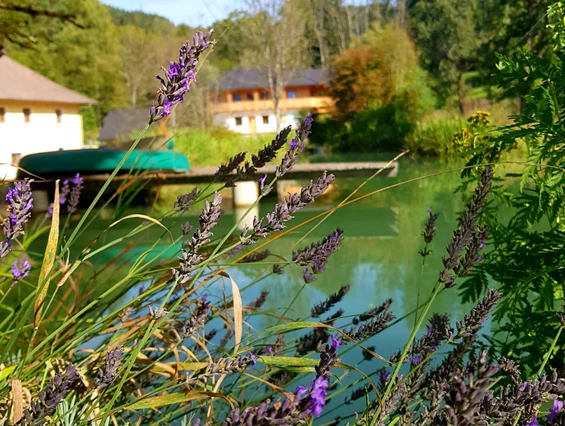 Hochzeit: Rambschisslhof