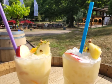 Hochzeit: IN DER NATUR - DIE HEILSBACH IN 66996 SCHÖNAU / PFALZ - HOCHZEITSLOCATION