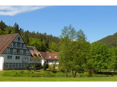 Hochzeit: IN DER NATUR - DIE HEILSBACH IN 66996 SCHÖNAU / PFALZ - HOCHZEITSLOCATION