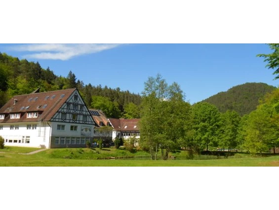 Hochzeit: IN DER NATUR - DIE HEILSBACH IN 66996 SCHÖNAU / PFALZ - HOCHZEITSLOCATION