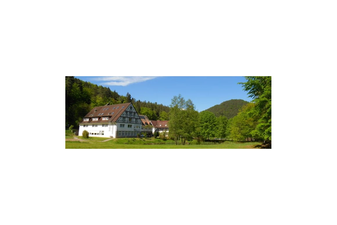 Hochzeit: IN DER NATUR - DIE HEILSBACH IN 66996 SCHÖNAU / PFALZ - HOCHZEITSLOCATION