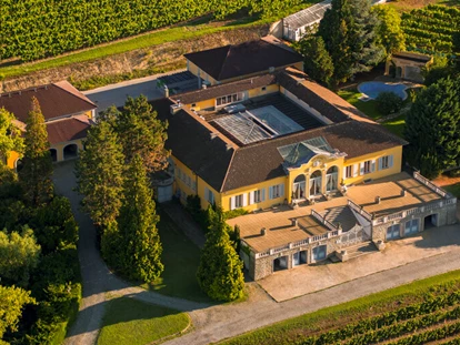 Wedding - Pottenbrunn - Flugansicht - Vitikultur MOSER