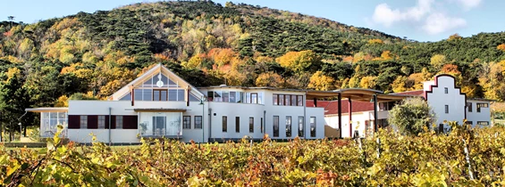 Hochzeitslocation: Das Weingut Schlossberg liegt am Fuße des Harzberges mitten in den Weingärten von Bad Vöslau mit traumhaften Ausblick ins Wiener Becken - Weingut Schlossberg