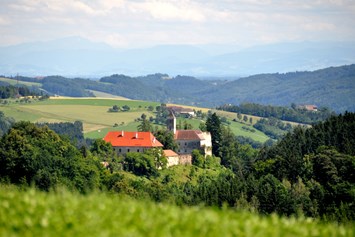 Hochzeit: Einsam, mitten in den grünen Hügeln des Mühlviertels, nur 20 Autominuten von Linz - das stille Schloss Eschelberg - Schloss Eschelberg