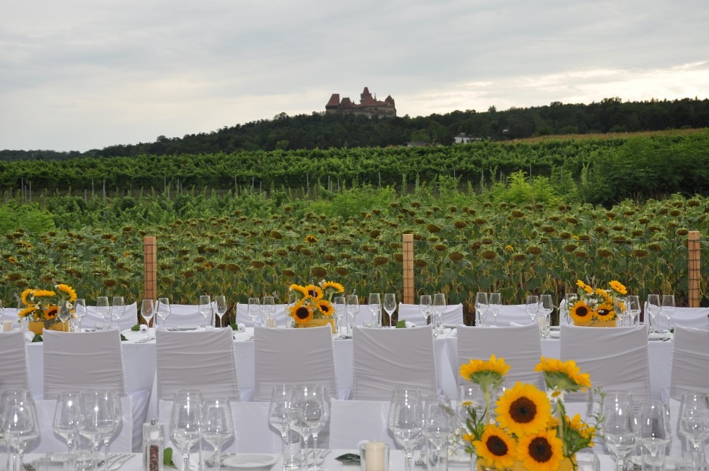 Bruiloft - Neder-Oostenrijk - Weingut Holzer