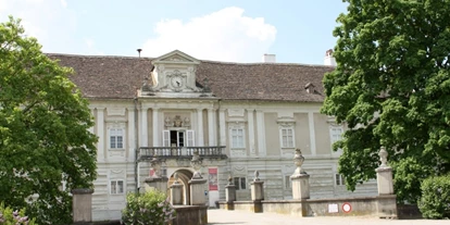 Bruiloft - Breitenbrunn (Breitenbrunn am Neusiedler See) - Schloss Rohrau
