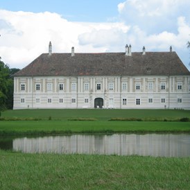 Hochzeit: Schloss Rohrau