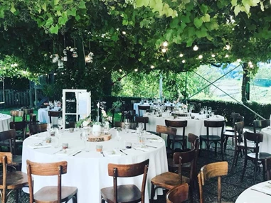 Hochzeitslocation: Weingut Michi Lorenz