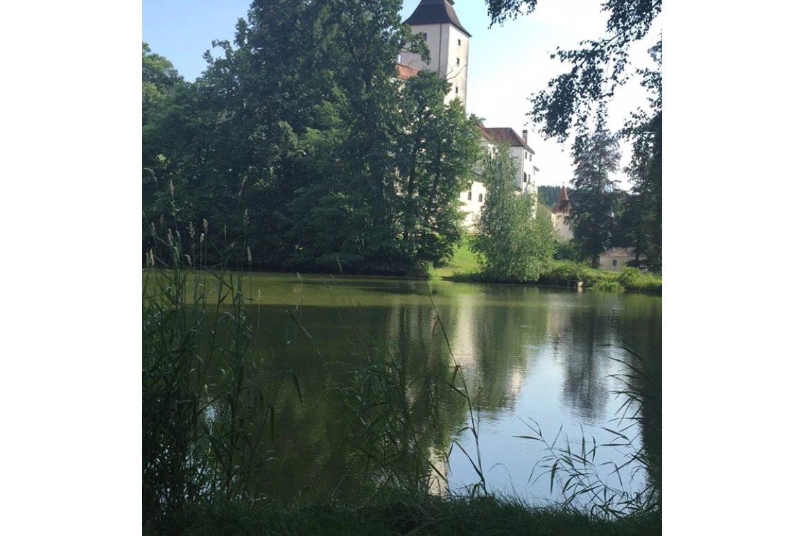 Hochzeit: Schloss Seisenegg - Teichansicht - Schloss Seisenegg