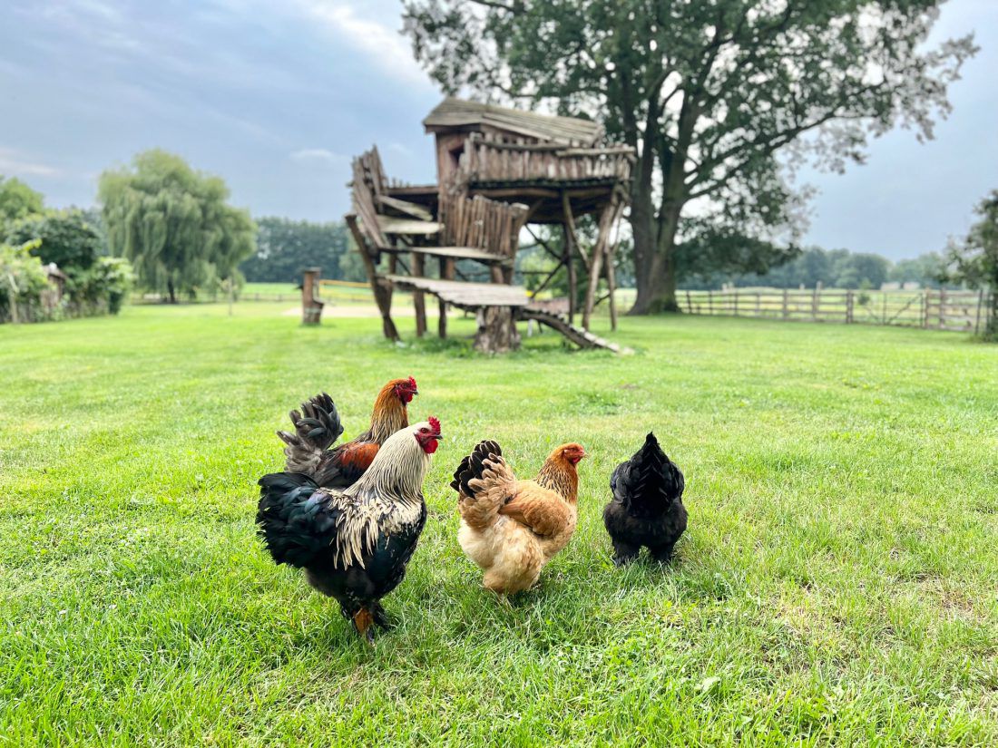 Hochzeitslocation: Der Kemper Hof - Eure Scheunenhochzeit in Berlin/ Brandenburg