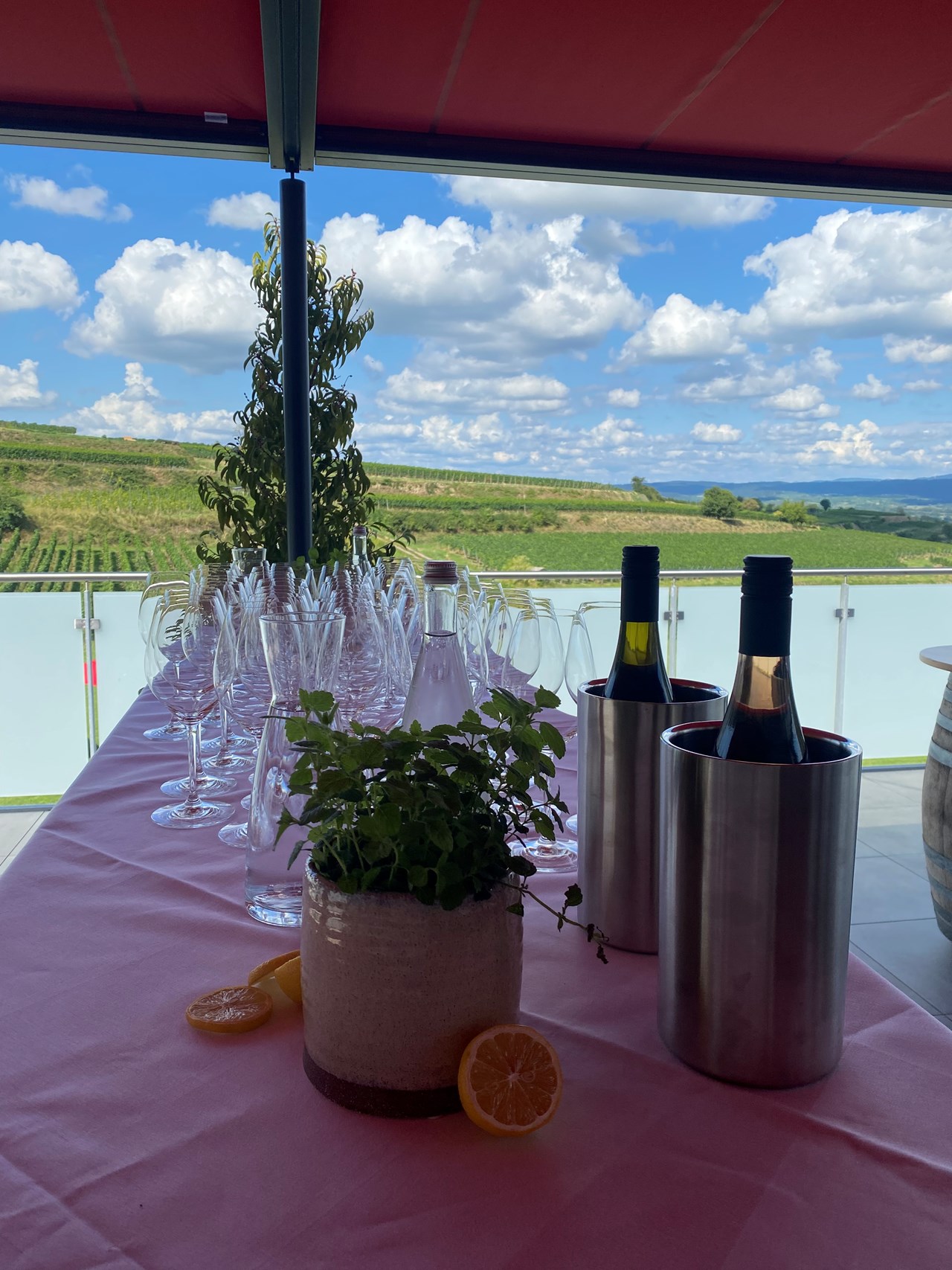 Reblaus Bahlingen  Informatie over de balzalen zonneterras