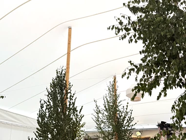 Hochzeit: Trauzeugin hält Rede im Zelt im Innenhof der Alten Meierei Bleiburg - ALTE MEIEREI BLEIBURG