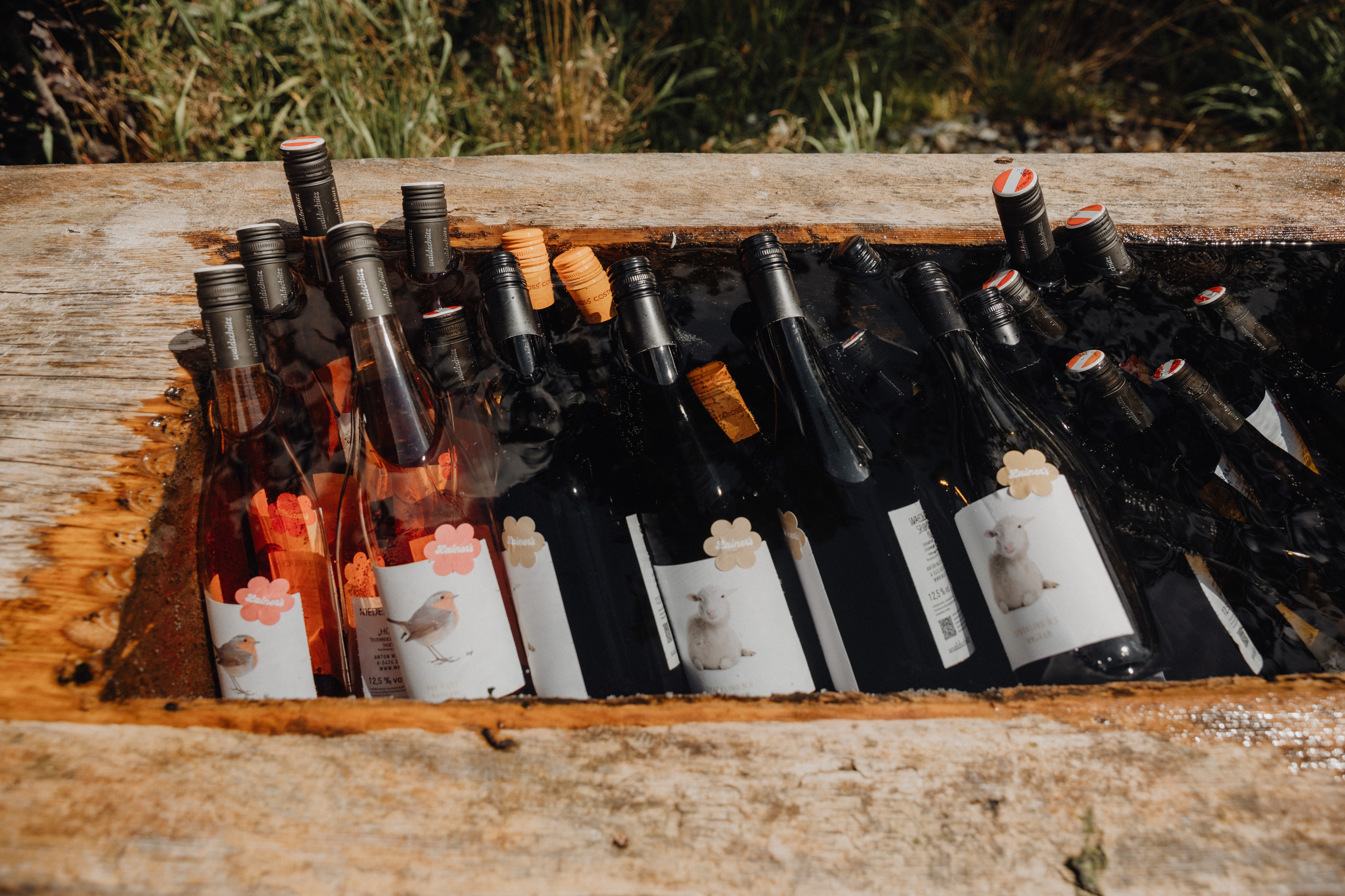 Hochzeit: König & Kuh