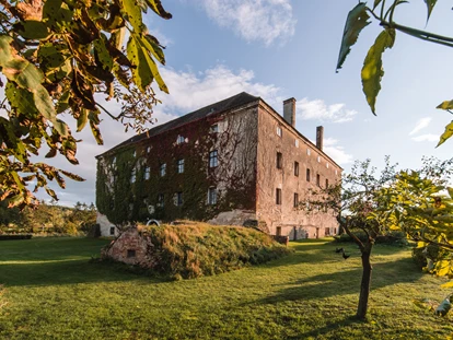 Bruiloft - Weinviertel - ©Felix Hohagen - Schloss Haggenberg