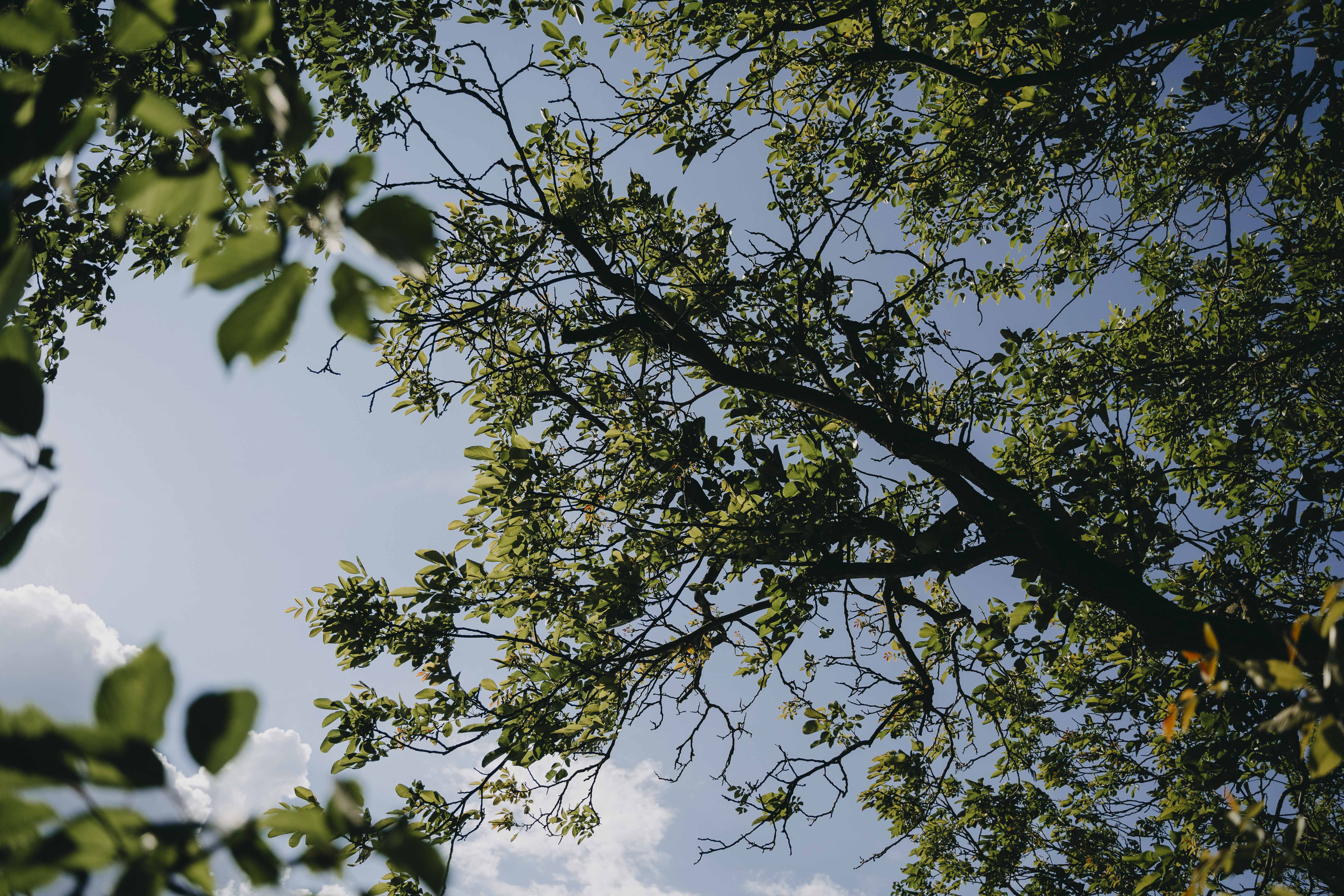 Hochzeitslocation: Gartenglück Wegendorf