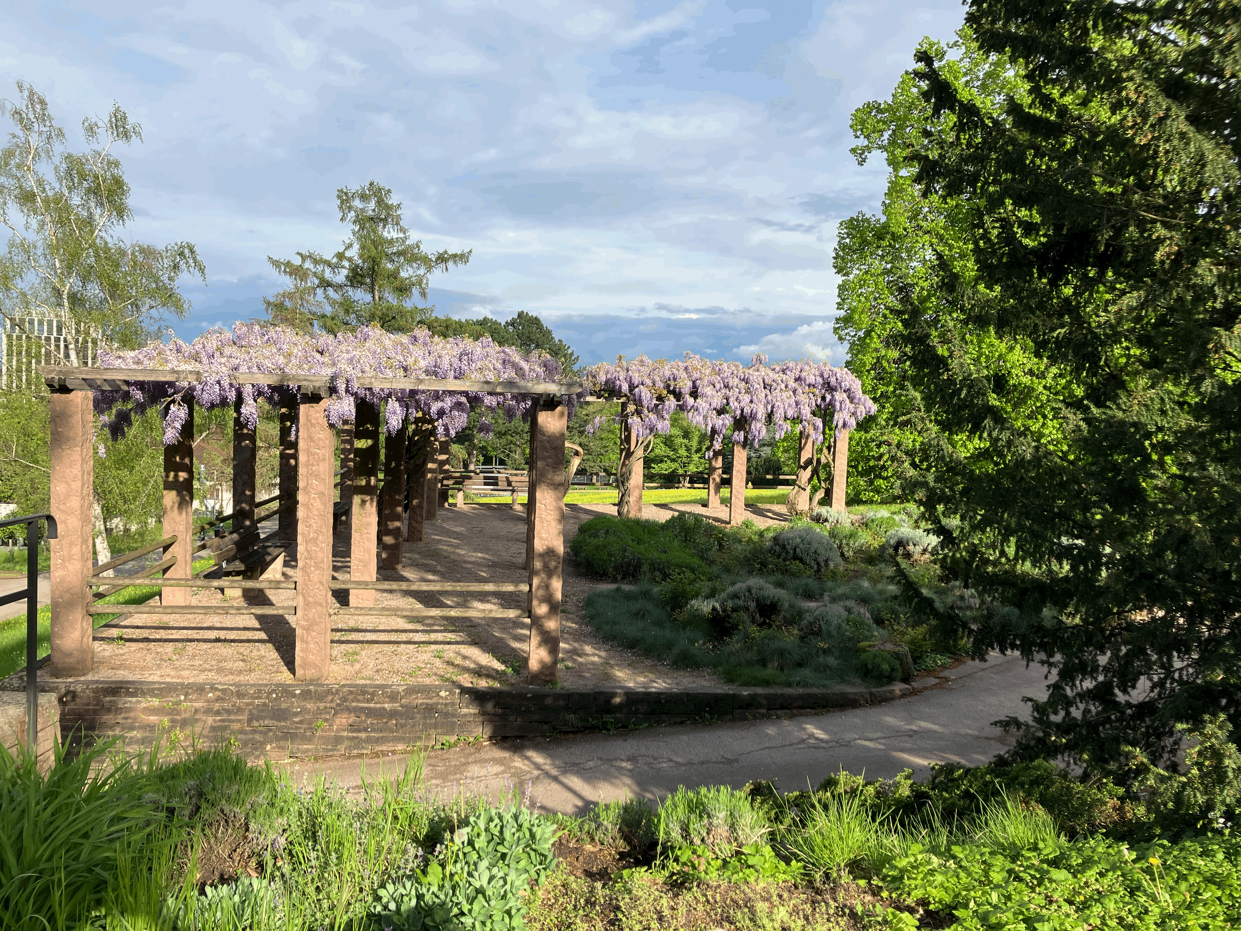Hochzeitslocation: Restaurant Weinstube Killesberg Stuttgart, Pergola mit Blick ins Umland - Restaurant Weinstube Killesberg
