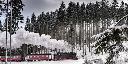 Hochzeit - Northeim - Winter im Harz - Granetal.Quartier