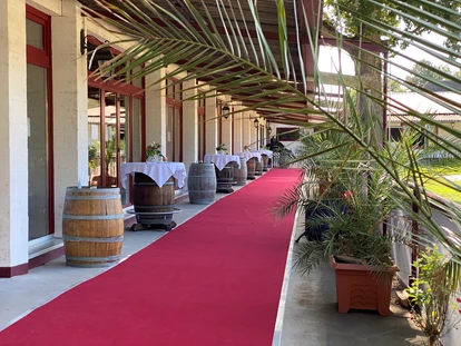 Hochzeit - Uelversheim - Red Capet  und Palmen, fühlen Sie sich wie ein Star an Ihrem schönsten Tag. - Jägerhof Biblis