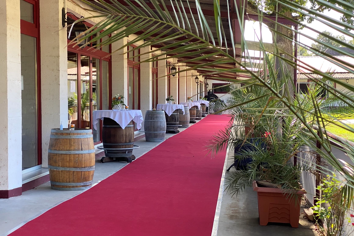 Hochzeit: Red Capet  und Palmen, fühlen Sie sich wie ein Star an Ihrem schönsten Tag. - Jägerhof Biblis