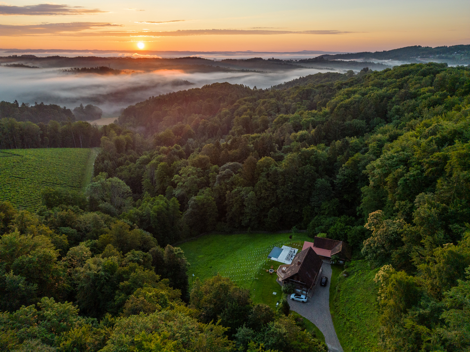 Hochzeitslocation: Vinothek Petzles