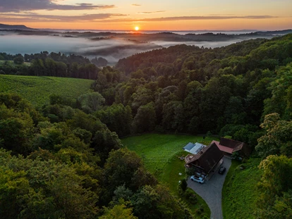 Matrimonio - Stainz bei Straden - Vinothek Petzles