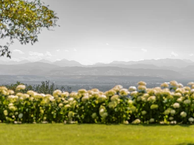 Hochzeitslocation: Trauwiese mit Alpenblick - Wallhof - Die Hochzeitslocation