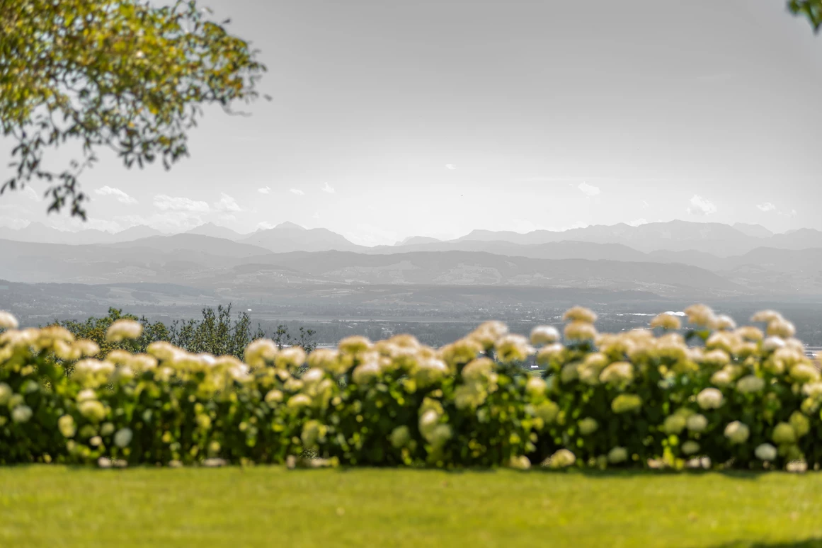Hochzeitslocation: Trauwiese mit Alpenblick - Wallhof - Die Hochzeitslocation