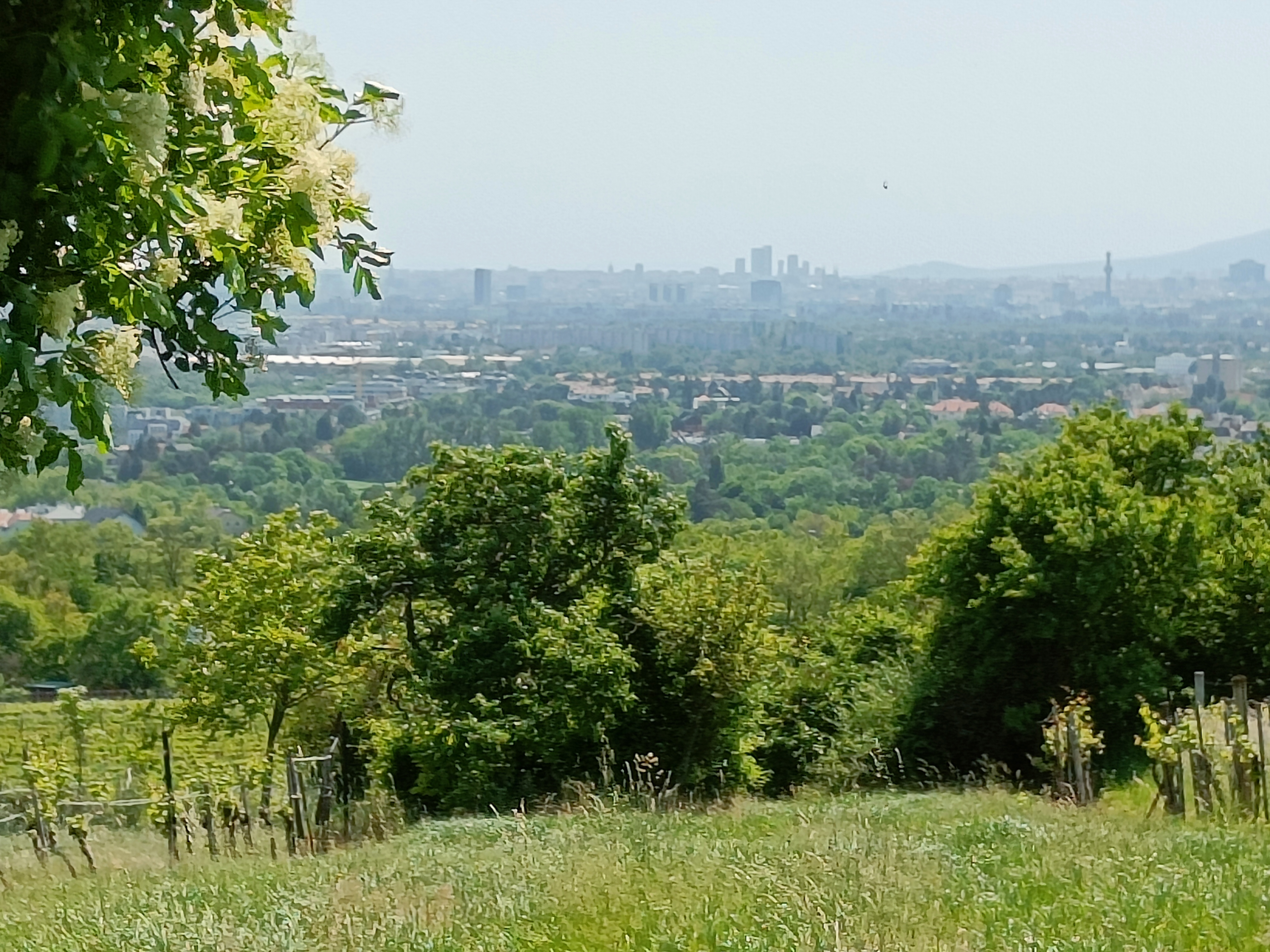 Hochzeitslocation: Villa Weinhandwerk