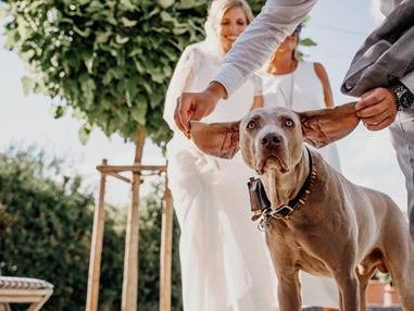Hochzeit: Weingut FLUHR-ELLER