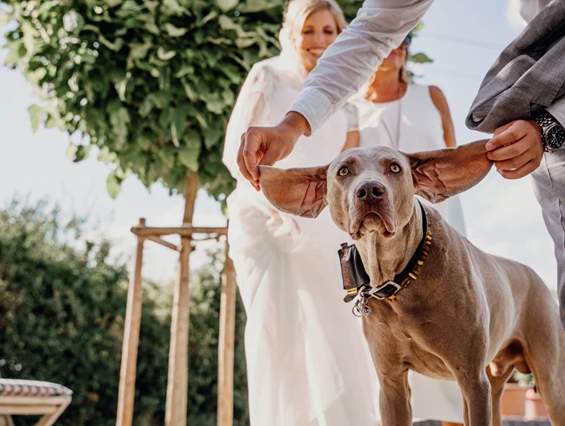 Hochzeit: Weingut FLUHR-ELLER