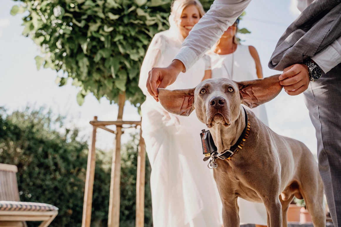Hochzeit: Weingut FLUHR-ELLER