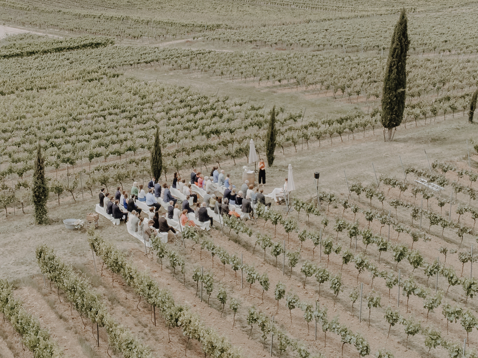 Hochzeit - Umgebung: in Weingärten - Deutschland - Weingut FLUHR-ELLER