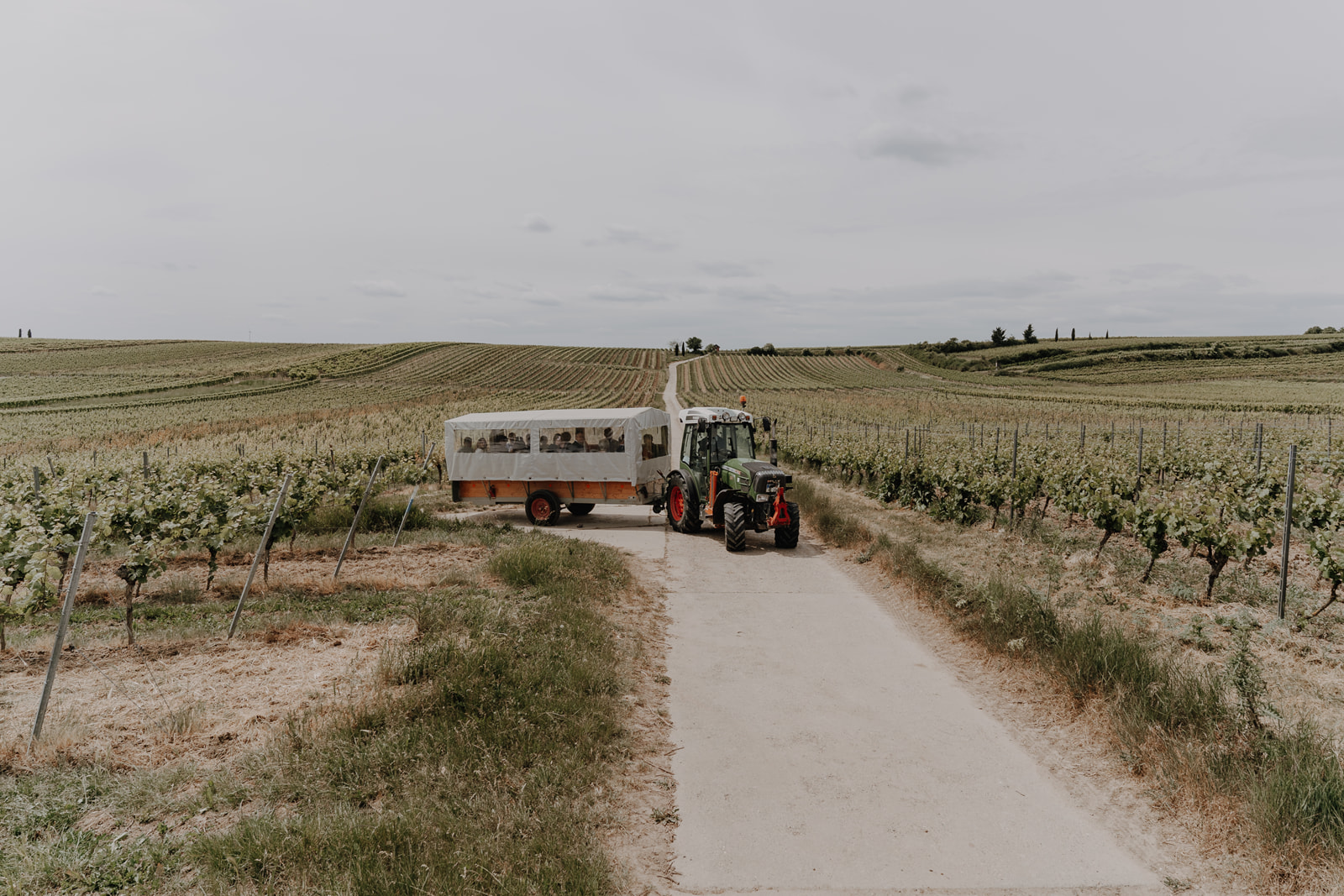Hochzeitslocation: Weingut FLUHR-ELLER