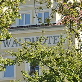 Hochzeit: Fssade - Waldhotel Rheinbach