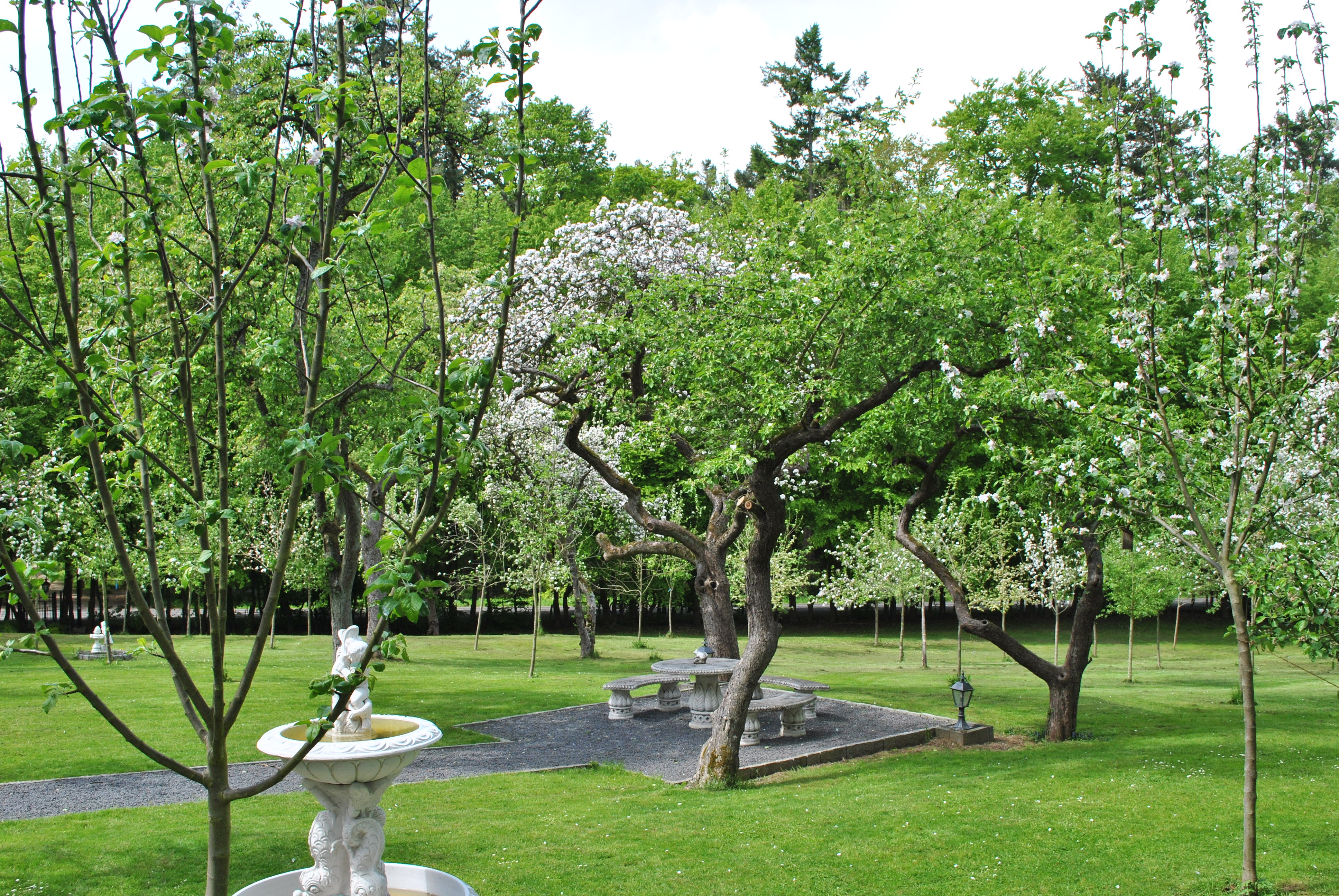 Hochzeit - Parkplatz: Busparkplatz - Nordrhein-Westfalen - Park während Apfelblüte - Waldhotel Rheinbach