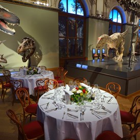 Hochzeit: Naturhistorisches Museum Wien