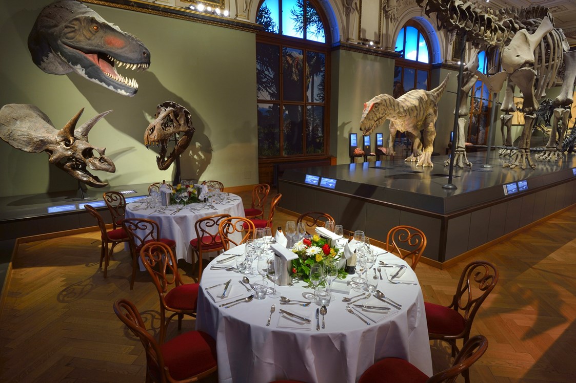 Hochzeit: Naturhistorisches Museum Wien