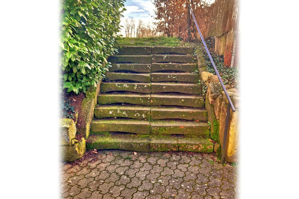 Hochzeitslocation: Zugang zur Eventwiese mit Naturstein-Treppe – Verbindung zwischen Garten und Festsaal. - Wanderheim Germersheim