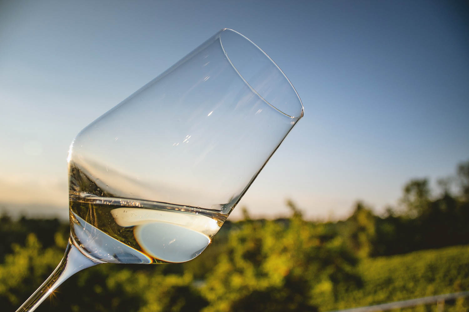 Hochzeitslocation: GUT FELLNER