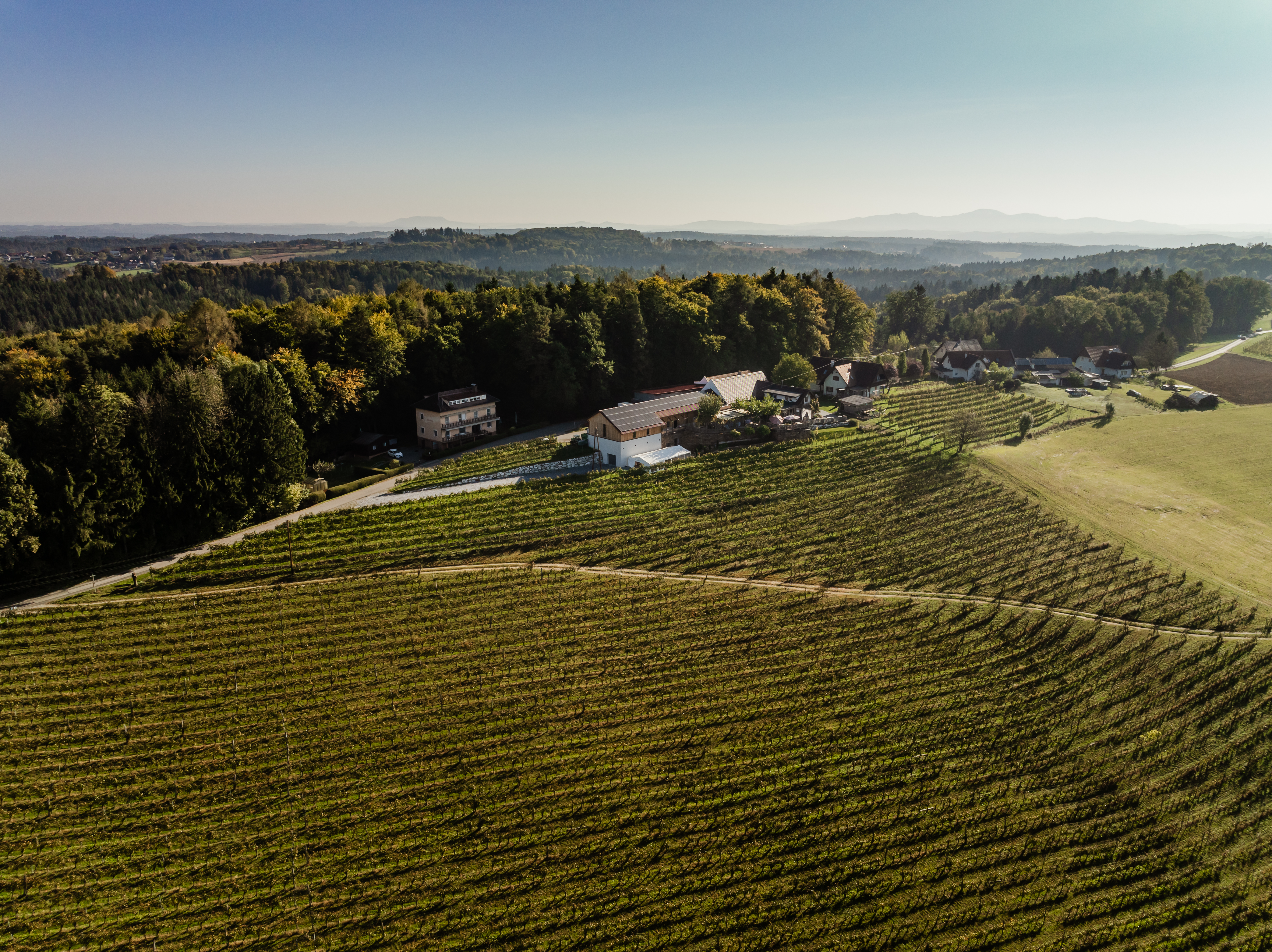 Hochzeitslocation: GUT FELLNER