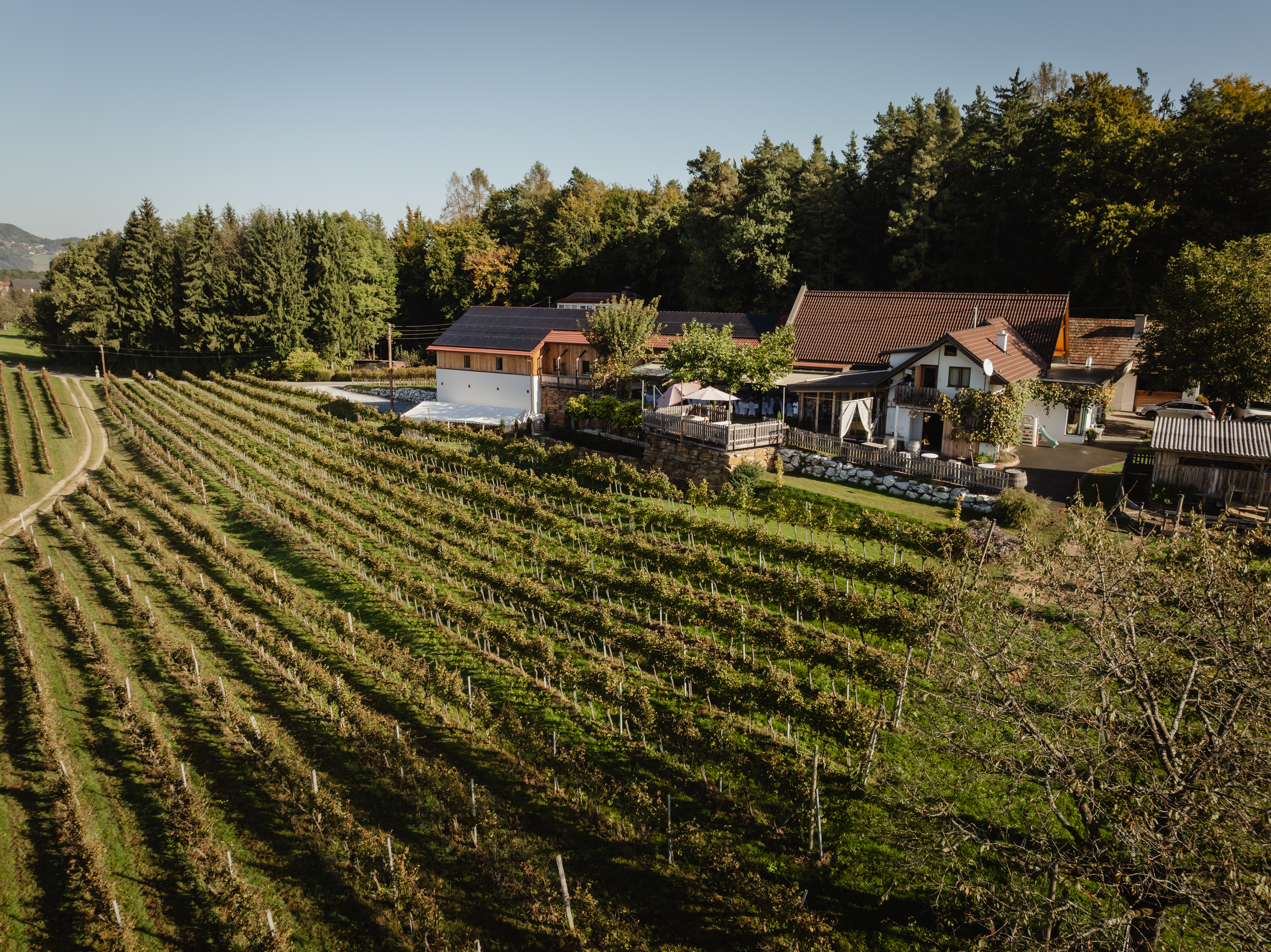 Hochzeitslocation: GUT FELLNER