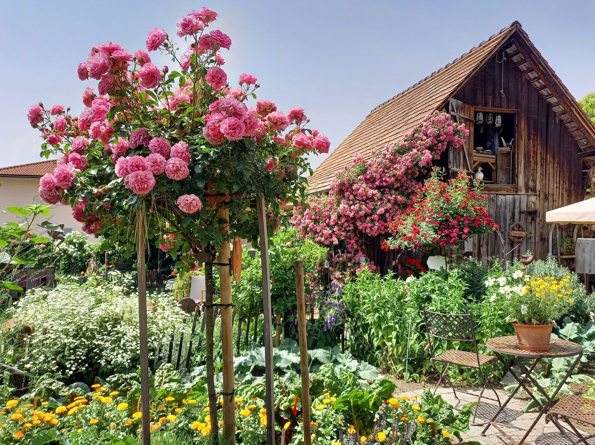 Matrimonio - Lingenau -  Elegante Hochzeitsfeier in einer der schönsten Locations Vorarlbergs - Gasthof Mohren Rankweil